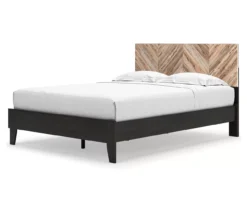 Piperton Black Queen Platform Bed Base -Happy Home Area 810591748 810591749 1