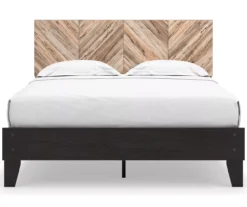 Piperton Black Queen Platform Bed Base -Happy Home Area 810591748 810591749 4